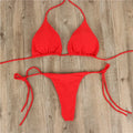 Bikini de dos piezas para mujer con top triangular. Diseño con atado tipo halter ajustable. Incluye braguita tipo tanga, ideal para playa y verano. Estilo moderno y sensual para beachwear.